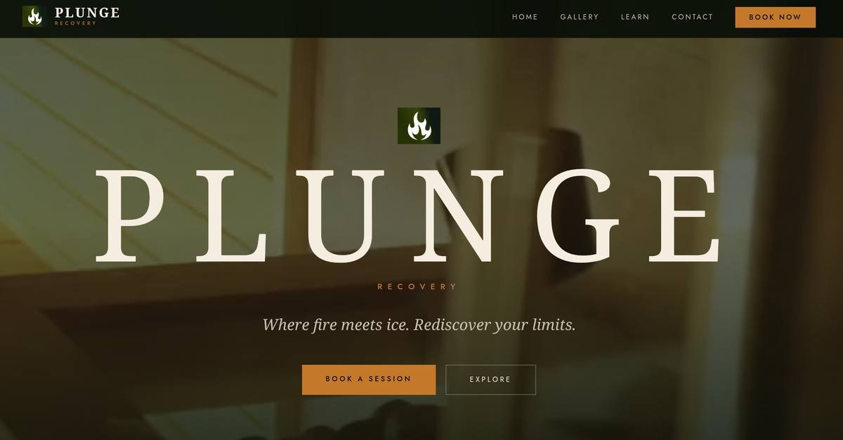 Plunge Recovery homepage